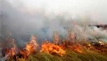 آتش سوزی در بخش ایرانی تالاب هورالعظیم
