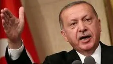 درخواست اردوغان از نخبگان ترکیه‌ای خارج‌نشین