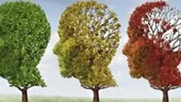 چرا به آلزایمر مبتلا می‌شویم؟