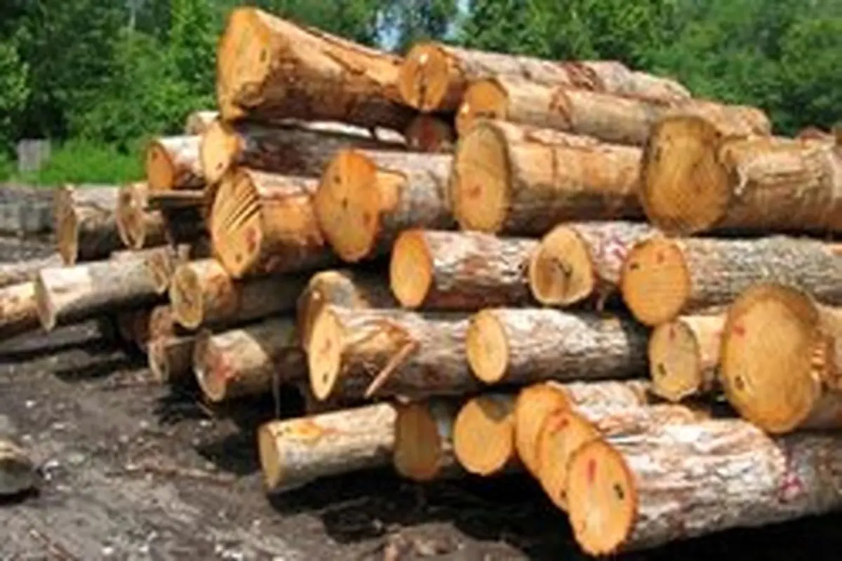 قاچاق چوب در لرستان کشف شد