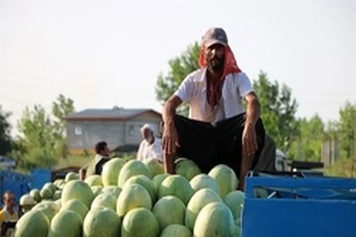 قیمت هندوانه کاهش یافت +نرخ انواع میوه