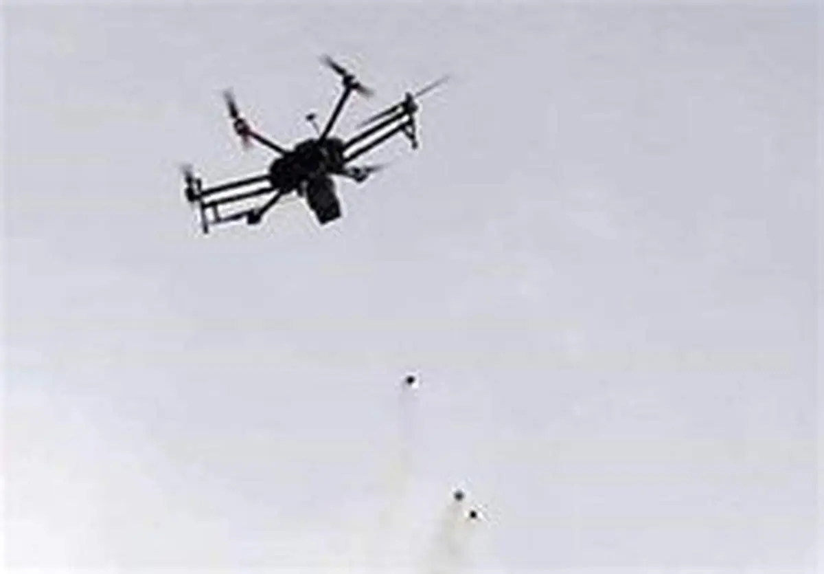 پرنده اسرائیلی به‌دست فلسطینیان سرنگون شد