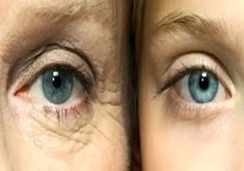 مواد غذایی کلاژن‌ساز: راه طبیعی برای پوست جوان و درخشان!