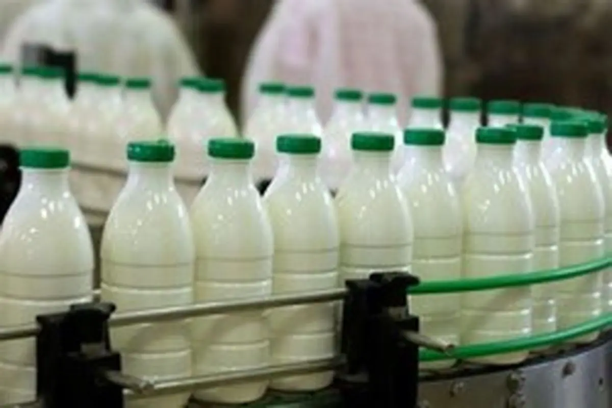 علت افزایش قیمت شیر پاستوریزه +جزئیات