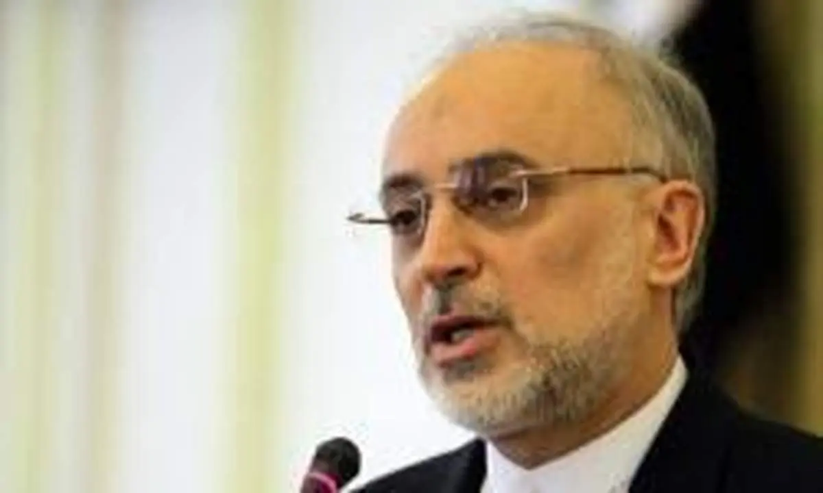 صالحی: هیچ سندی از سازمان انرژی اتمی بیرون نرفته است
