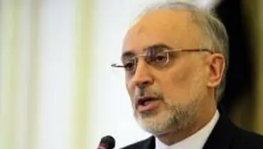صالحی: هیچ سندی از سازمان انرژی اتمی بیرون نرفته‌ است