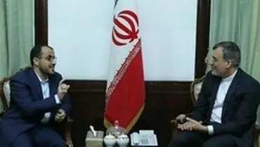 رایزنی جابری انصاری با مذاکره‌کننده ارشد انصارالله