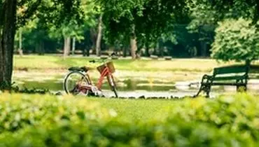 کاهش خطر ابتلا به آسم با زندگی کردن نزدیک پارک