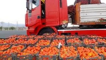 قیمت گوجه‌ فرنگی در هفته آینده کاهش می یابد