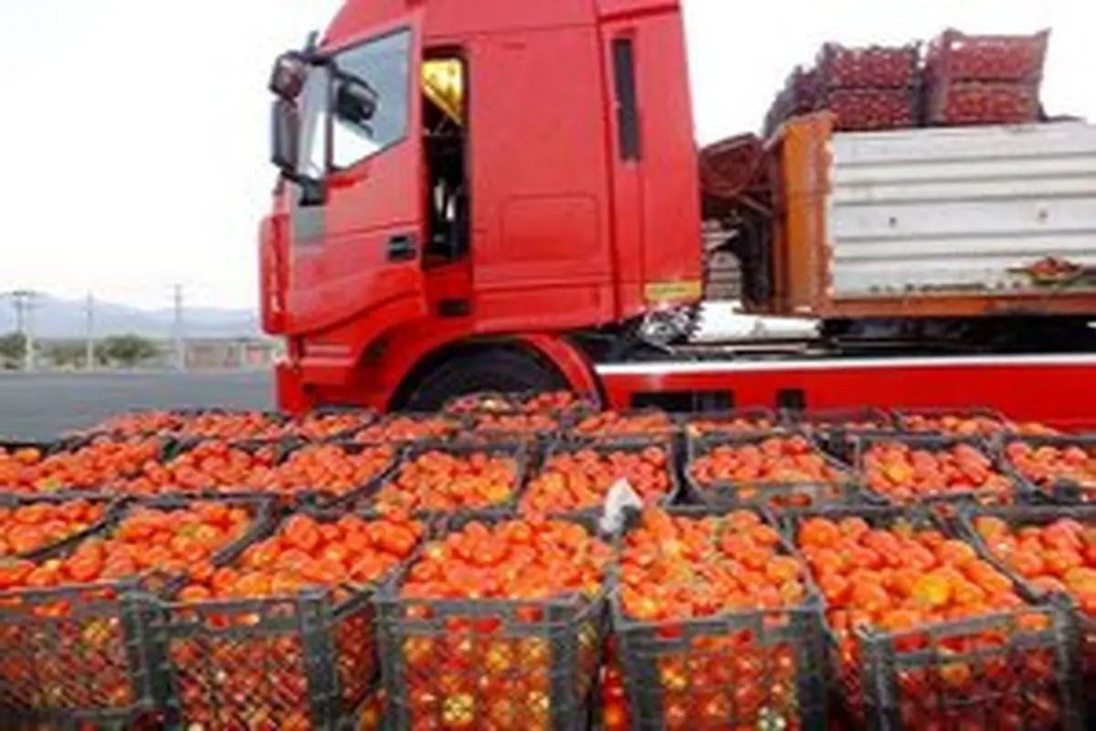 قیمت گوجه‌ فرنگی در هفته آینده کاهش می یابد