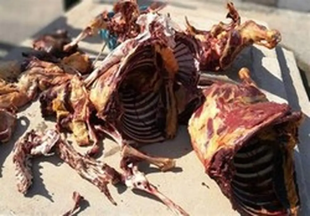 توضیحاتی در مورد عرضه گوشت الاغ