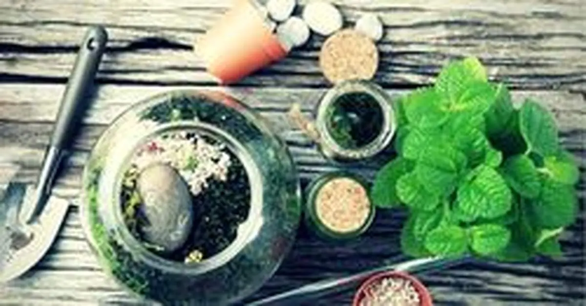 ضروری‌ترین نکاتی که باید برای پرورش گل و گیاه در خانه بدانید