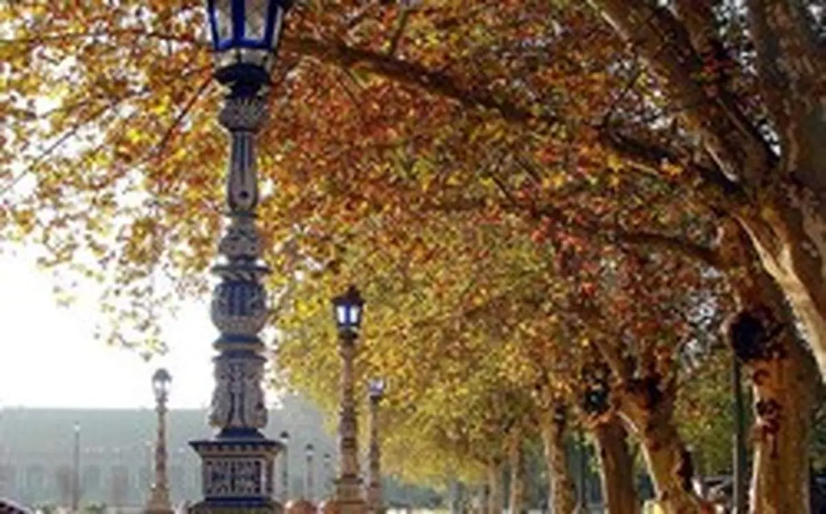 چرا باید در پاییز به سفر بروید