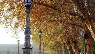 چرا باید در پاییز به سفر بروید