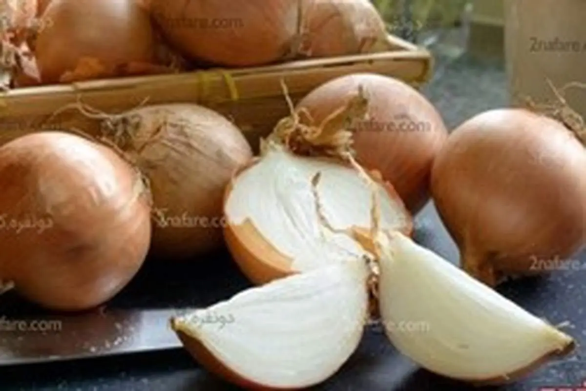 انواع پیاز و کاربرد آنها در آشپزی