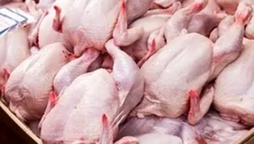 قیمت مرغ در کشتارگاه به ۹۸۰۰ تومان رسید