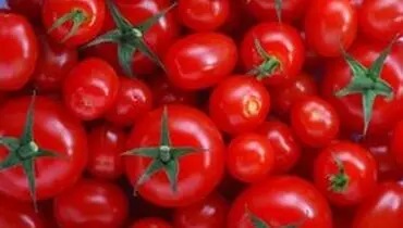 قیمت گوجه‌فرنگی به‌زودی کاهش می‌یابد