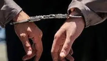 ۴ باند قاپ زن در تهران دستگیر شدند