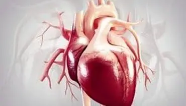 چند درصد ممکن است تا ۱۰ سال آینده بیماری قلبی بگیرید؟