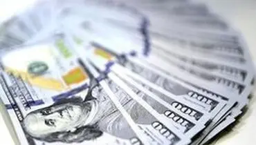 احتمال سقوط آزاد نرخ ارز در بازار