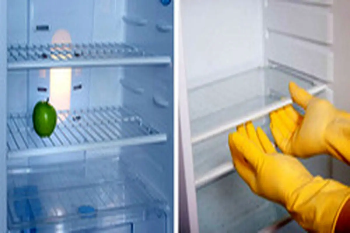 استفاده از سفیدکننده برای تمیز کردن یخچال چه خطری دارد؟