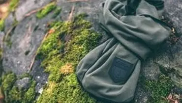 شالی که به جنگ آلودگی هوا می‌رود!