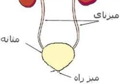 دلیل سوزش ادرار چیست؟+ درمان