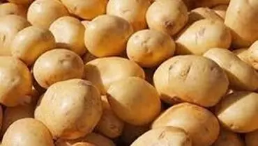 ممنوعیت صادرات سیب‌زمینی و رب گوجه‌فرنگی
