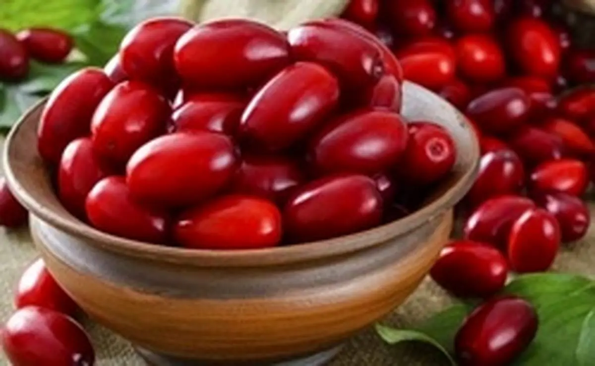دسر زغال اخته؛ تقویت کننده عالی سیستم ایمنی بدن
