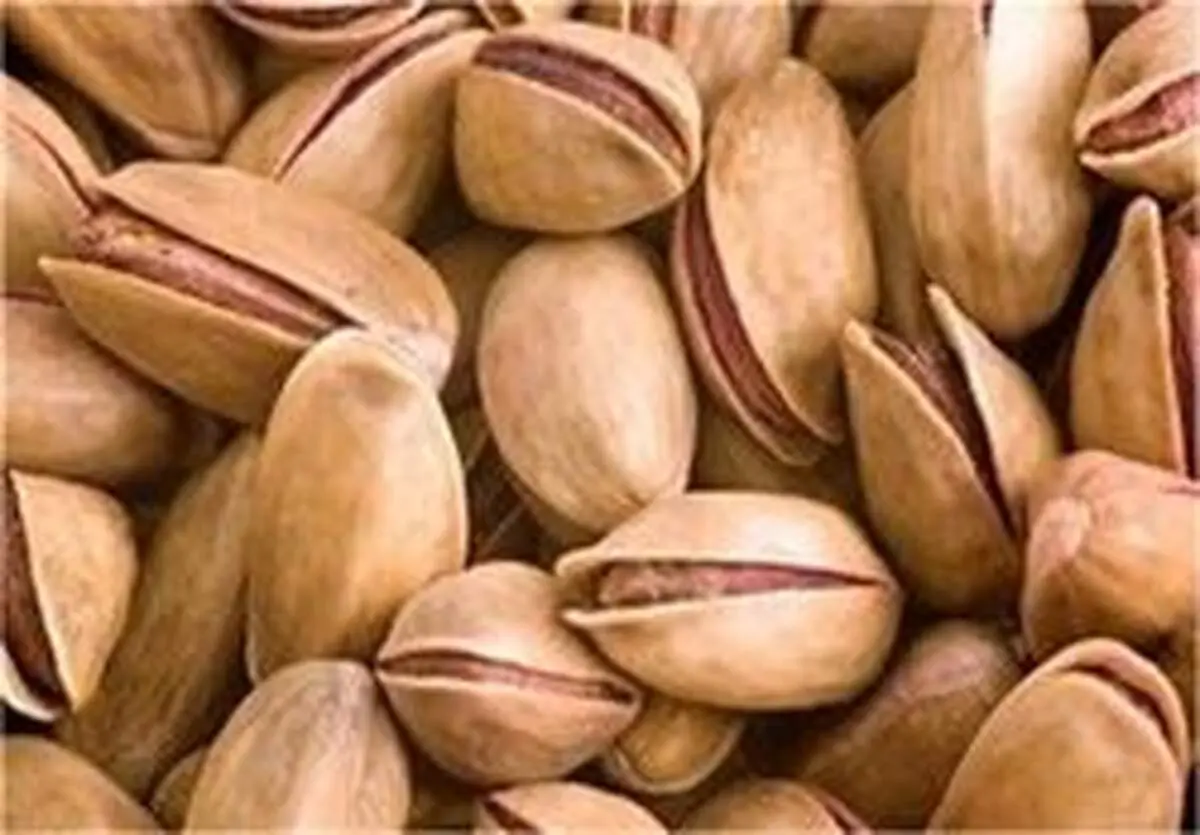 پسته در بازار تهران کیلویی چند؟