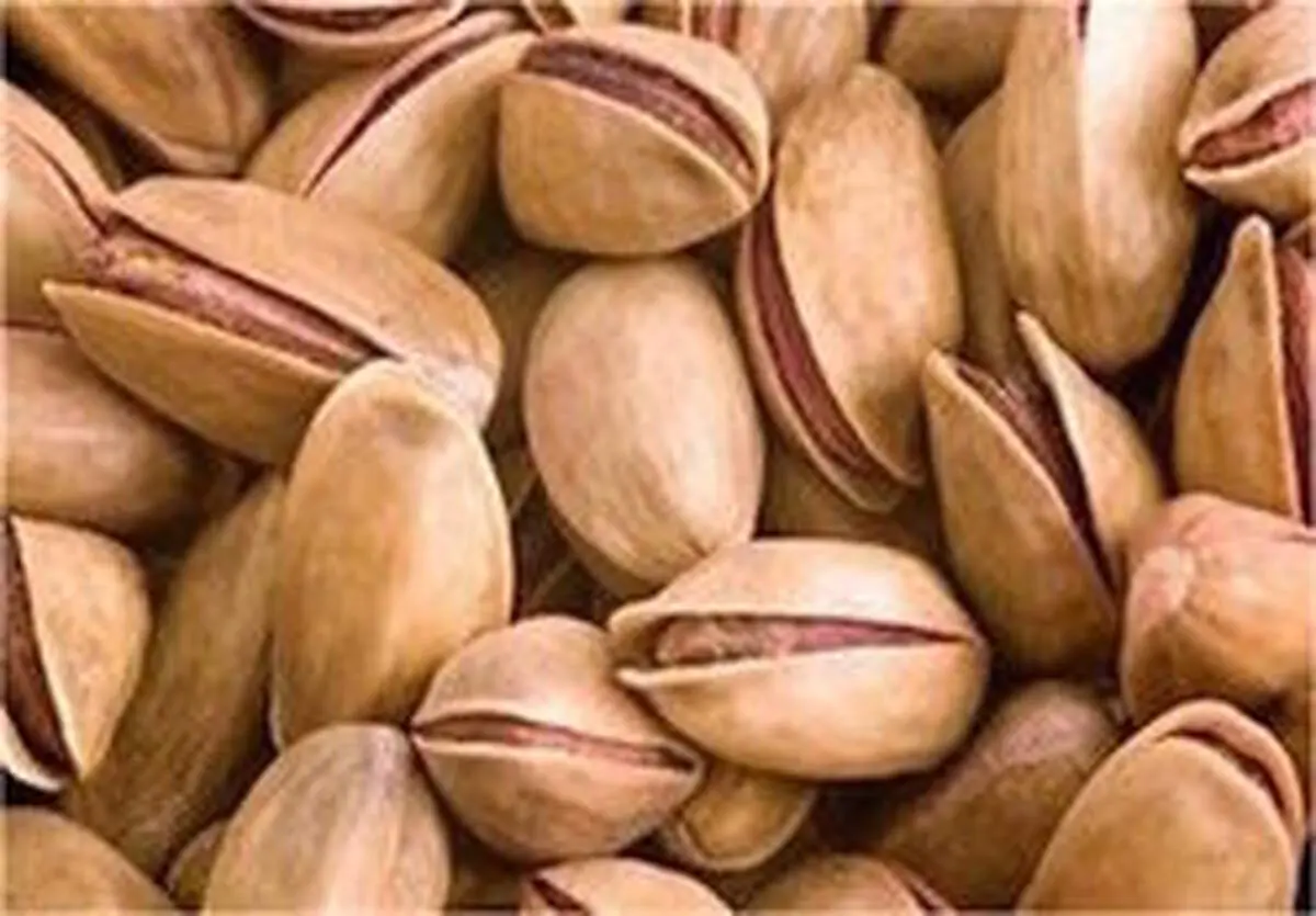 پسته در بازار تهران کیلویی ۱۰ دلار!