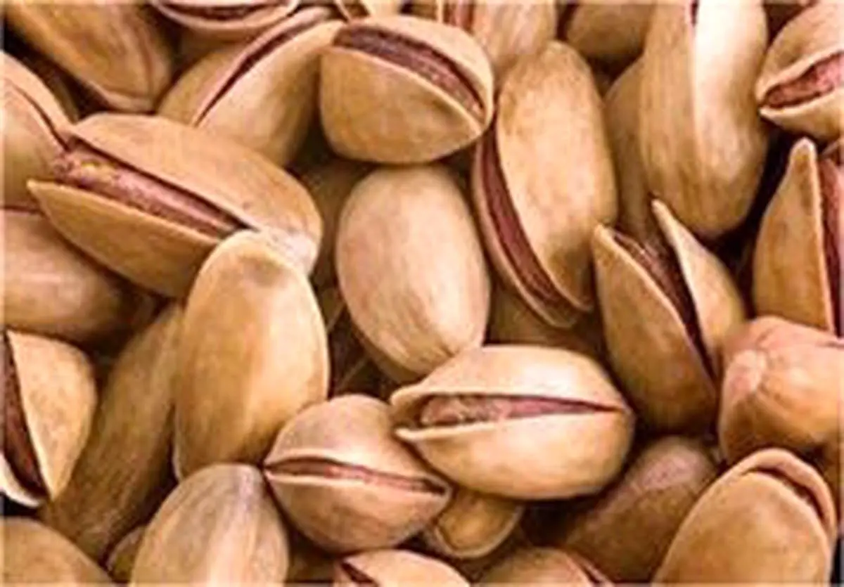 پسته در بازار تهران کیلویی ۱۰ دلار!