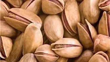پسته در بازار تهران کیلویی ۱۰ دلار!