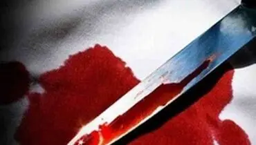 ۸ متهم پرونده قتل در پارک دانشجو دستگیر شدند