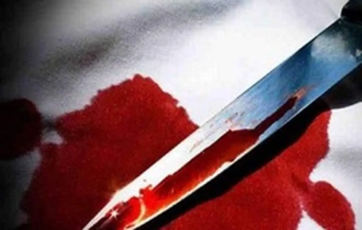 ۸ متهم پرونده قتل در پارک دانشجو دستگیر شدند
