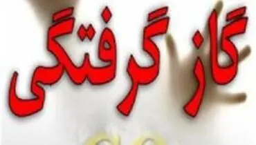 گازگرفتگی نشانه های شبیه آنفلوانزا دارد
