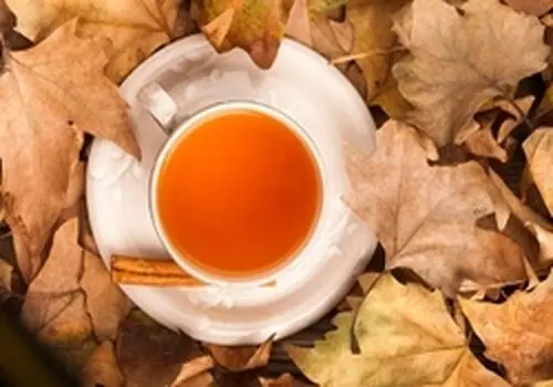 راز مادر‌بزرگ‌ها برای پریود شدن: 8 دمنوش گیاهی که معجزه می‌کنند!