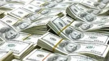 تمهیدات وزارت علوم برای تخصیص ارز دانشجویی