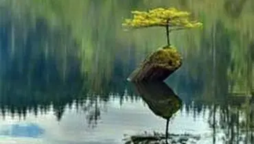 راه‌های موثر جهت زنده کردن انگیزش درونی انسان