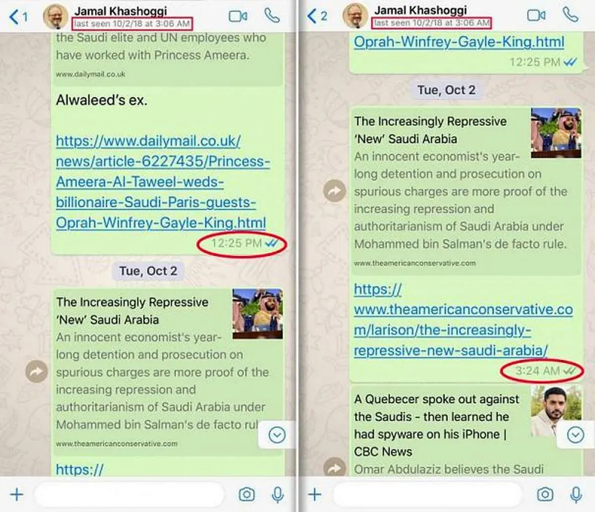 پای واتس آپ به پرونده قتل خاشقچی باز شد+عکس