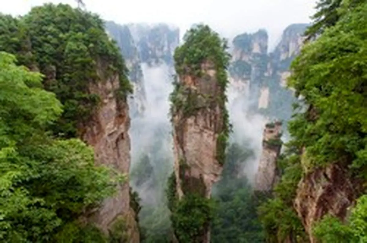 «آواتار»؛ جنگلی شناور و اعجاب انگیز در آسمان