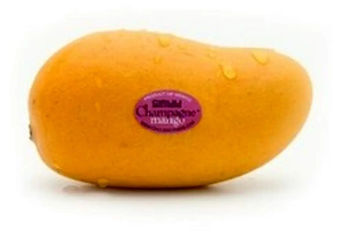 رفع بوی بد و نامطبوع بدن با انبه