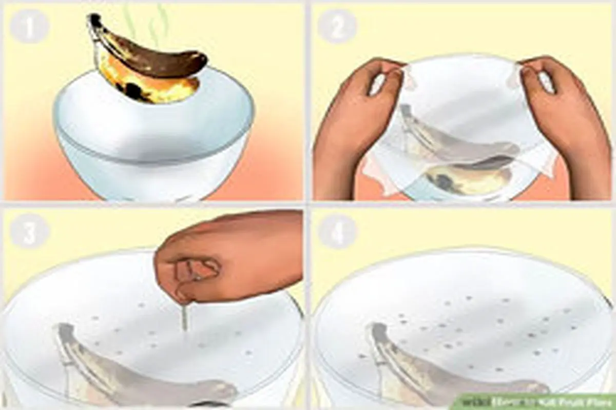 با این ۷ روش ساده مگس‌های میوه را از خانه دور نگه دارید