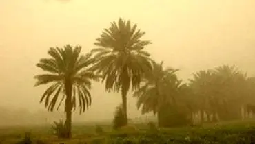 طوفان خاک ۵ دانش آموز خوزستانی را روانه بیمارستان کرد