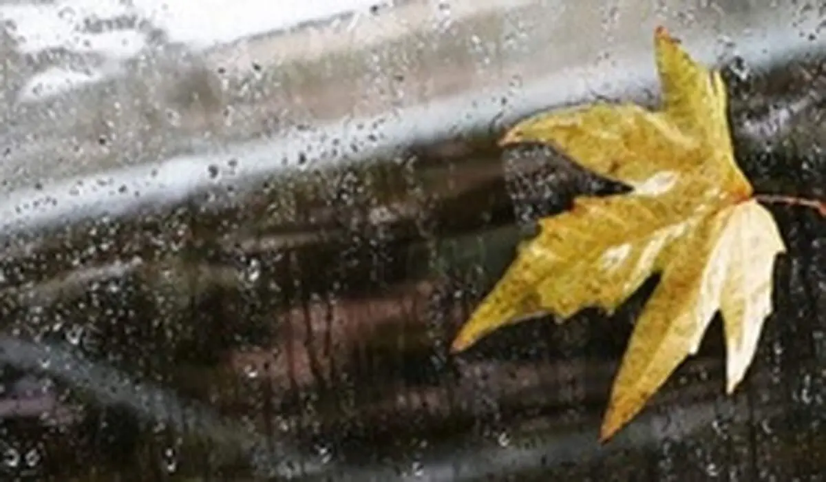 طوفان مهران یک کشته و ۱۵ زخمی داشت