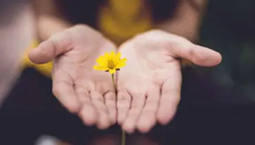 ۴ راهنمای کلیدی برای روشن کردن مسیر موفقیت