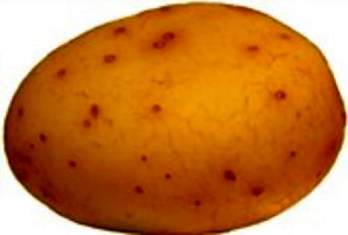 روش آمادهسازی سیبزمینی