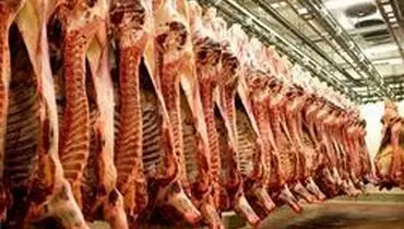 قیمت گوشت افزایش پیدا میکند