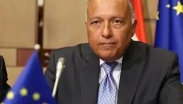 السیسی به پادشاه سعودی نامه فرستاد
