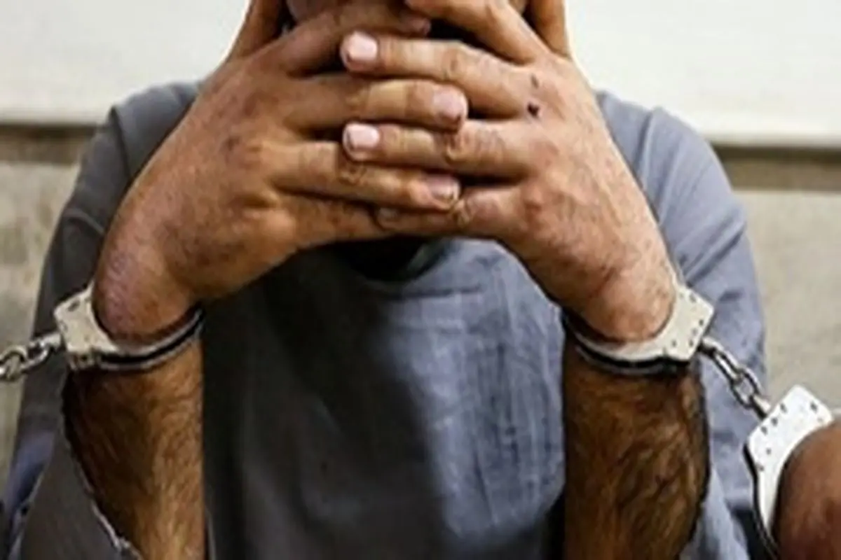 واکنش پلیس به تردد آزادانه سارقان مسلح در تهران